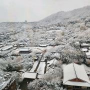 南山谷韩屋村