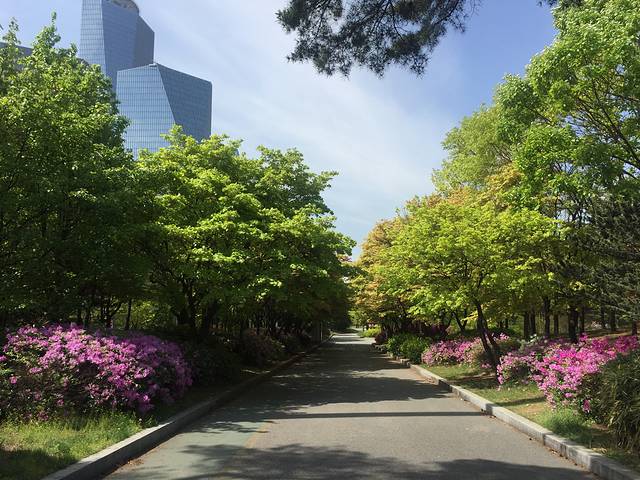 汝矣岛公园